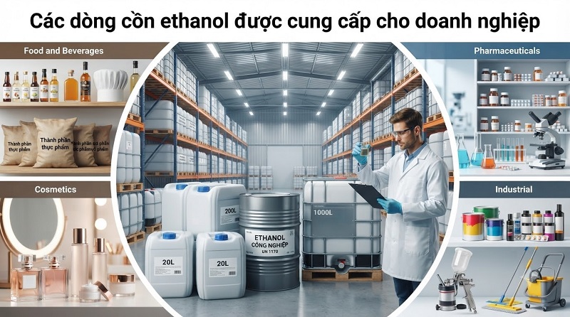 Nhà máy sản xuất cồn ethanol Việt Nam – Nguồn cung ethanol ổn định cho doanh nghiệp
